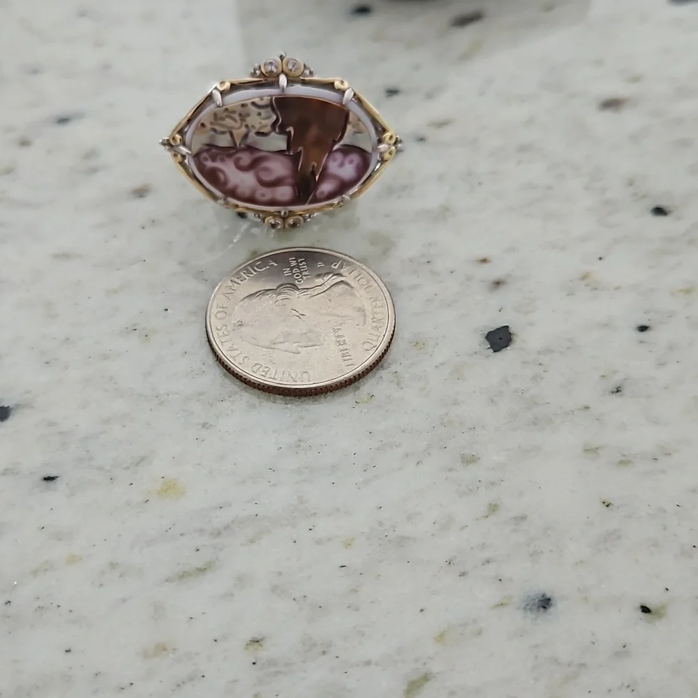 Tiger shell cameo silver ring - Picture 7 of 7